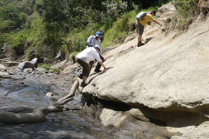 Overnight Exciting Tour To Mt. Longonot and Hell's Gate Park - Lunch and a boat ride on Lake Naivasha