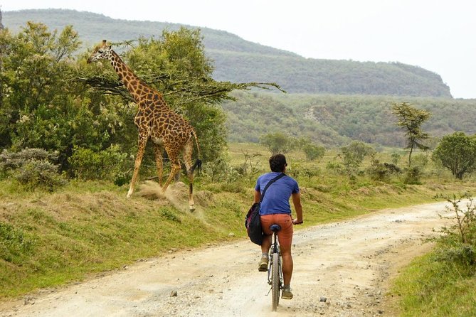 Overnight Mount Longonot and Hells Gate National Park From Nairobi - Why this two-day Kenya trip works