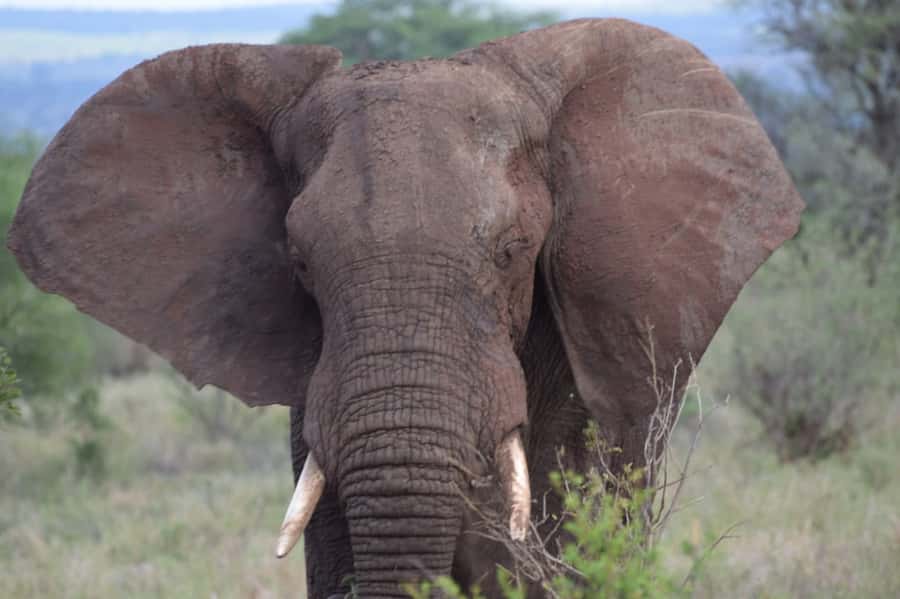 Overnight Private Safari To Masai Mara - Who will get the most from this itinerary
