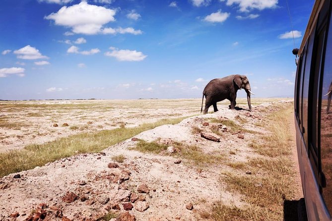 Overnight Safari to Amboseli National Park - The guides can make or break the short schedule
