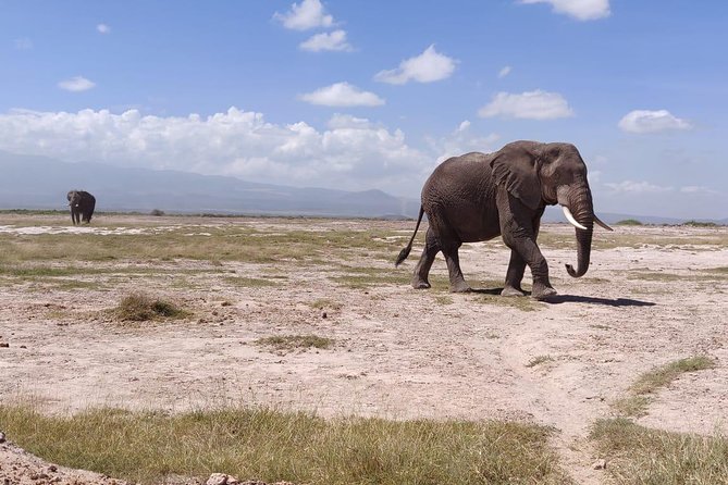 Overnight Safari to Amboseli National Park - Is $623.49 a fair price?