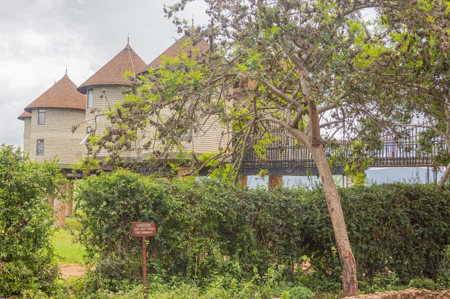 Overnight Safari to Saltlick through Tsavo East Park - The return to the coast