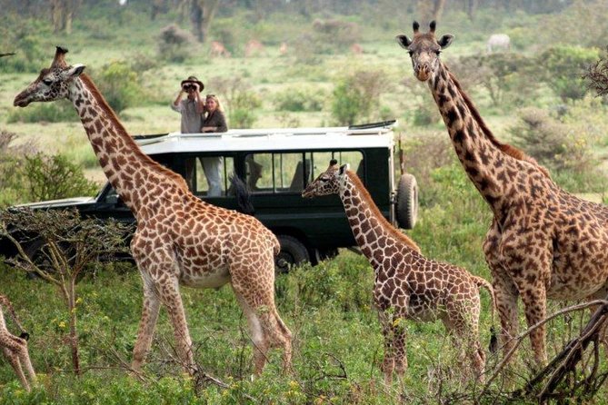 Overnight Safari to Tsavo East National Park from Mombasa/Diani - The morning drive to Bachuma Gate