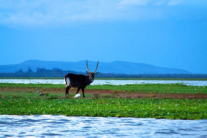 Overnight tour to mount Longonot and Hells Gate Naivasha - 6 a.m. departure and the Great Rift Valley viewpoint