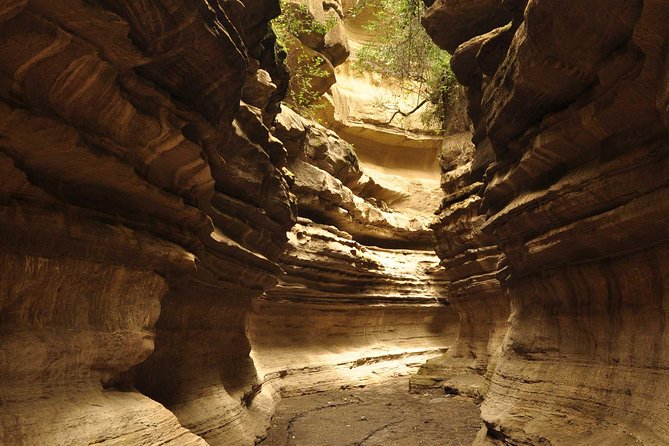 Overnight tour to mount Longonot and Hells Gate Naivasha - One hour among Hells Gate gorges and caves