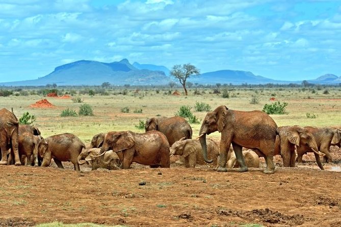 Private 3 Day Tsavo East Safari from Mombasa - Day 1: Bachuma Gate and the 4 p.m. Game Drive