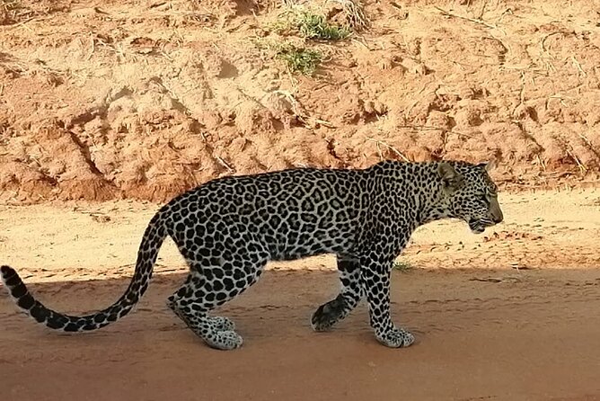Private 3 Day Tsavo East Safari from Mombasa - Who Should Book This Safari?