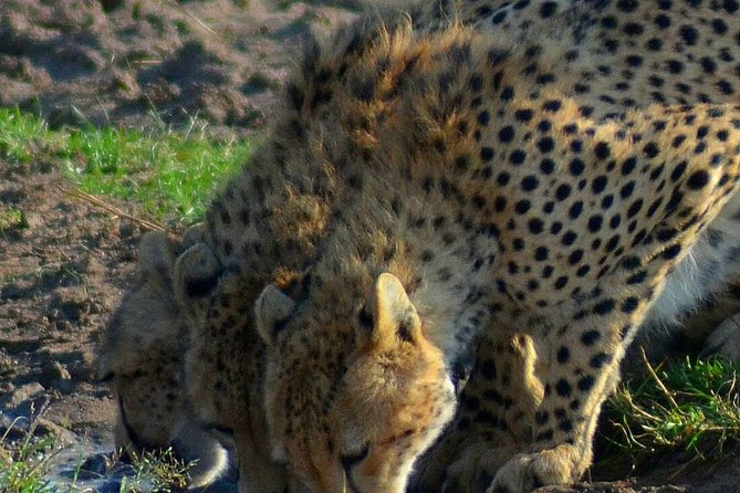 Private 3 Day Tsavo East Safari from Mombasa - Voi Wildlife Lodge: A Practical Two-Night Base