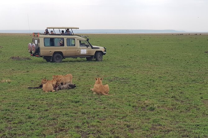 Private 5 Day Maasai Mara with Lake Nakuru and Lake Naivasha Tour - Who should book this safari