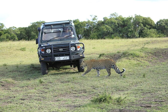 Private 7 Days Kenya Safari Amboseli, Naivasha, Nakuru, Mara - What the private vehicle and guide mean