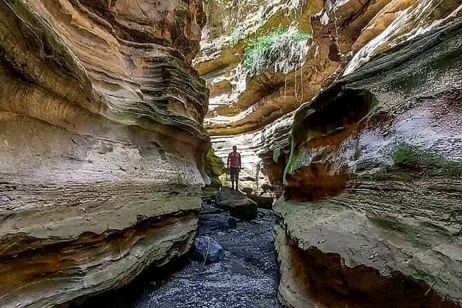 Private Day tour to Hell's Gate National Park and Lake Naivasha - The optional one-hour boat ride