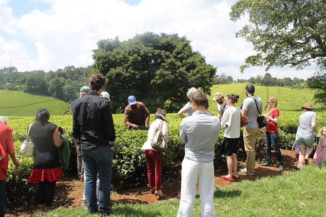 Private Day Trip to Kiambethu Tea Farm in Limuru from Nairobi - Why Kiambethu makes a good Nairobi escape