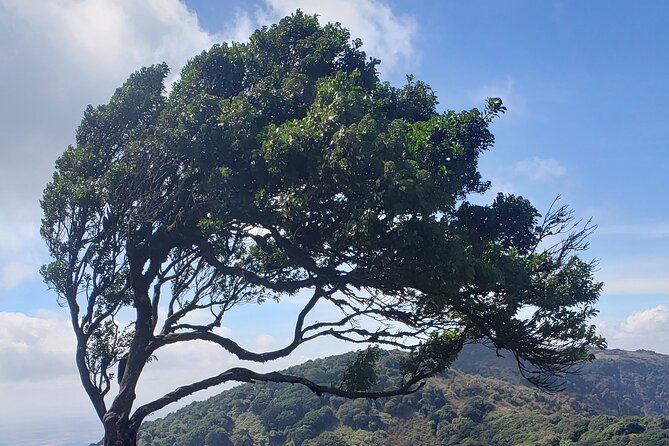Private Half Day Hike to Ngong Hills from Nairobi - Seven Hills and a 12-Kilometer Return