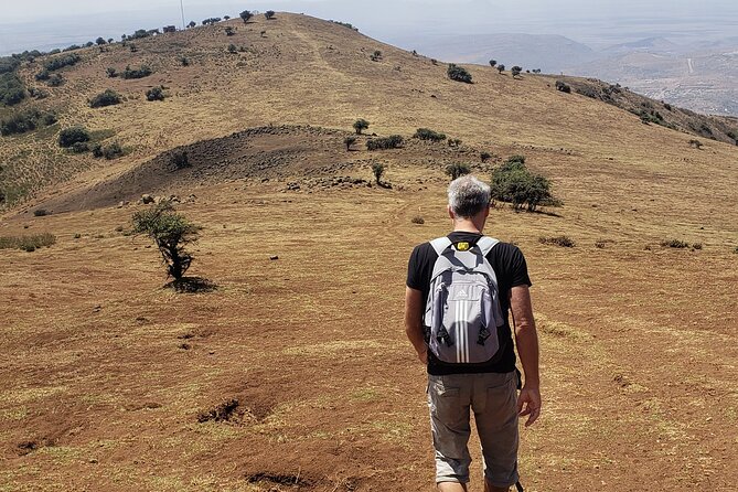 Private Half Day Hike to Ngong Hills from Nairobi - How the Private Guide Changes the Day