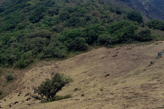 Private Half Day Hike to Ngong Hills from Nairobi - Practical Details Before You Go