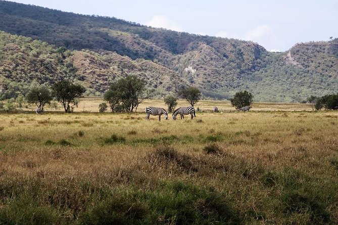 Private Hiking Day Trip to Mt. Longonot from Nairobi - Climbing Mt. Longonot through the gullies