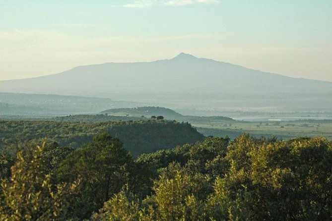 Private Hiking Day Trip to Mt. Longonot from Nairobi - The descent and the value of an early start