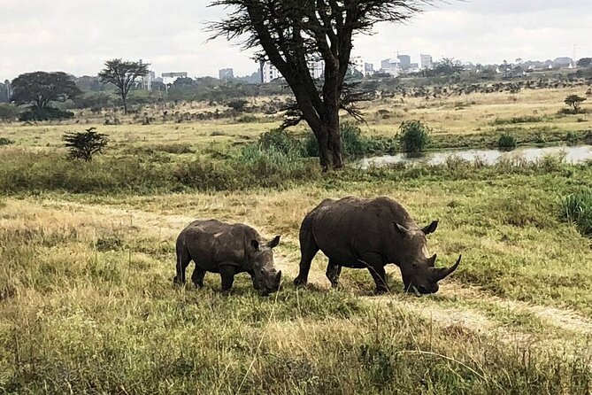 Private Nairobi National Park Day Tour - The city skyline is part of the attraction