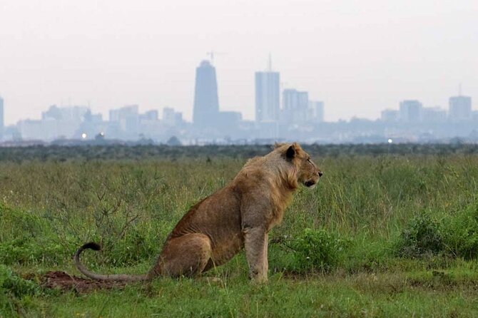 Private Nairobi National Park Day Tour - Who will get the most from this tour?