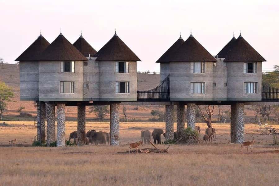 PRIVATE OVERNIGHT SALTLICK SAFARI FROM MOMBASA OR DIANI - Key points to know before booking