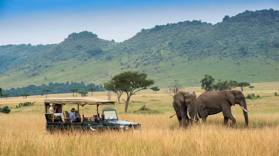 Private Safari Day-Tour in Amboseli National Park - The 5:00 a.m. pickup and sunrise drive