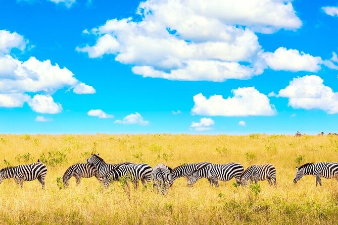 Private Tour of Tsavo East National Park from Mombasa - Why Tsavo East makes a strong day safari from Mombasa