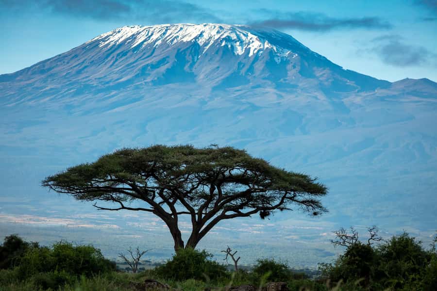 Private Tour to Amboseli National Park - Why Amboseli works well as a day trip from Nairobi