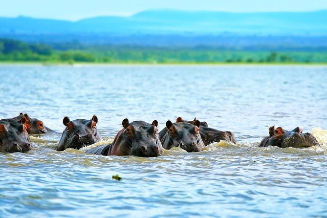 Private Tour to Mount Longonot and Optional Boat Ride on Lake Naivasha - Leaving Nairobi at 6:00 am