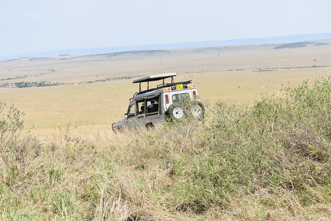 Private Transfer from Nairobi Airport or city To Maasai Mara By Road - Private service, communication, and flexibility