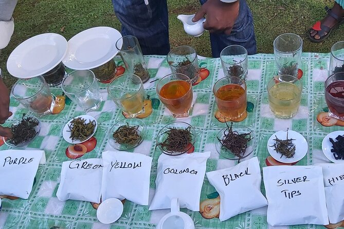 Purple Tea Farm Tour from Nairobi City - Specialty Tea Tasting - Seeing the traditional orthodox processing method