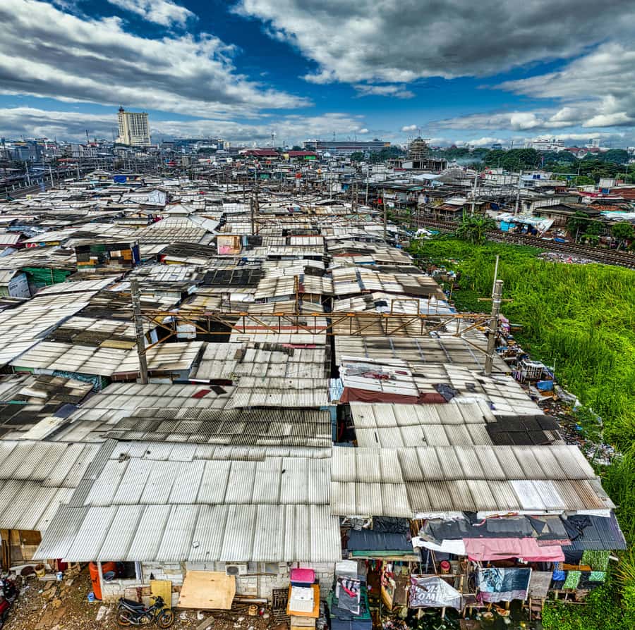 Rent A Local - A Nairobi day built around your interests