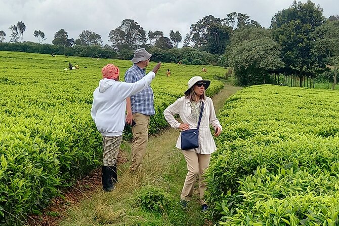 Riara tea farm tour with lunch and tea tasting from Nairobi - Lunch after the farm tour