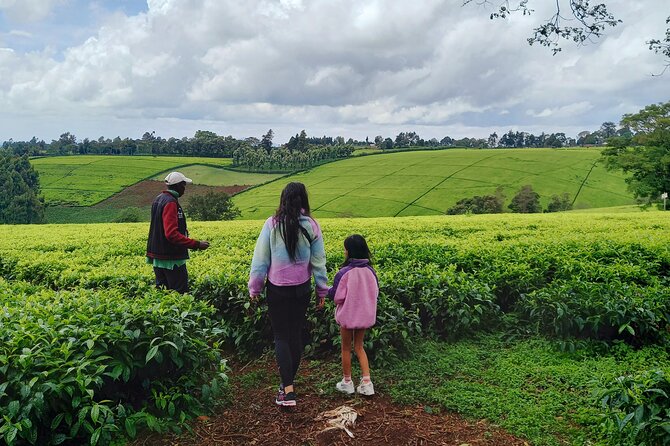 Riara tea farm tour with lunch and tea tasting from Nairobi - The private format and the $150 price