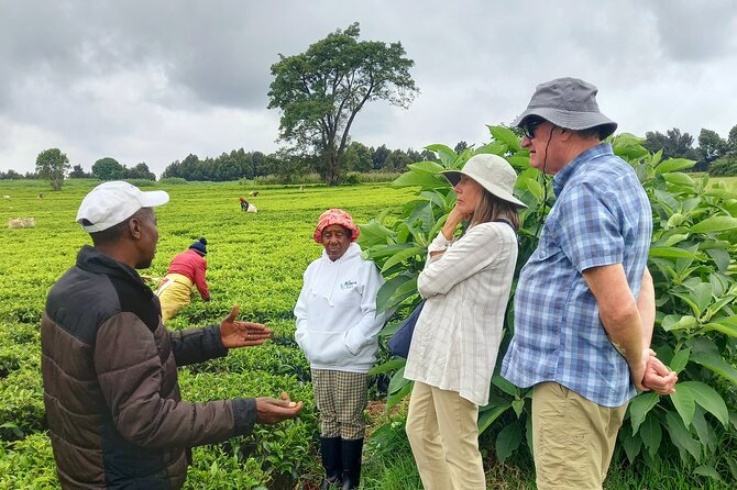 Riara tea farm tour with lunch and tea tasting from Nairobi - Arriving at the Riara tea farm in Limuru