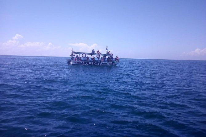 Safari blue - Searching for dolphins in open water