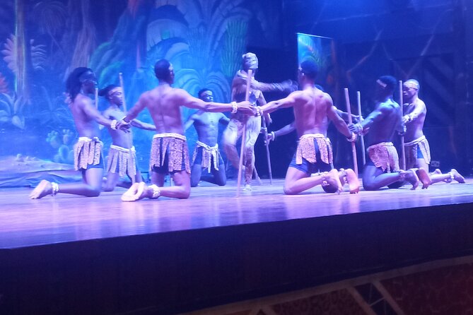 Safari Cat Dancers Show And Dinner - Should you book the Safari Cat Dancers Show?