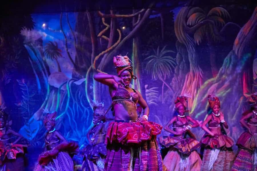 Safari Park Hotel Show & Dinner Experience In Nairobi Tour - Safari Cats at 9 p.m.: dance, drumming, and acrobatics