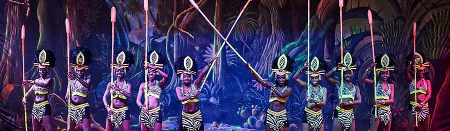 Safari Park Hotel Show & Dinner Experience In Nairobi Tour - Who will enjoy Safari Cats most?