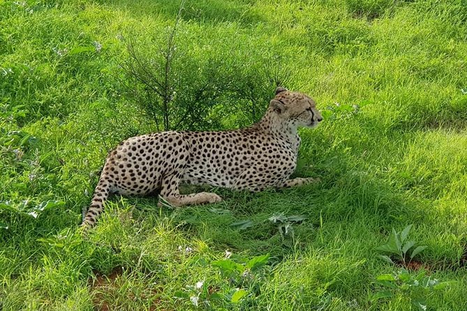 Safari-Tsavo east national park -2 days 1 night - Why Tsavo East works for a short safari