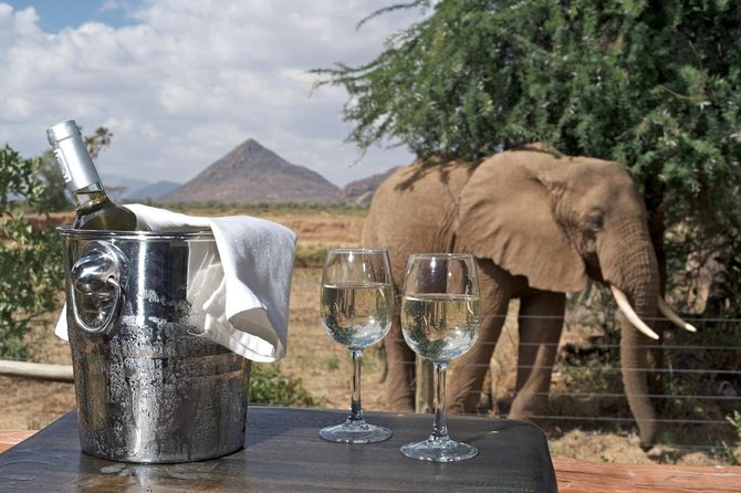 Samburu/ Aberdare/ Lake Nakuru/ Masai Mara 7 Days Safari - Day 7: One last drive and back to Nairobi