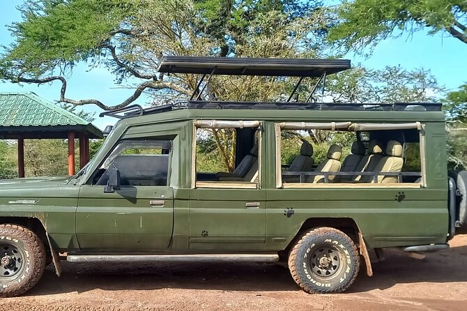 Shared Nairobi National Park Safari Tour - What you may see inside the park