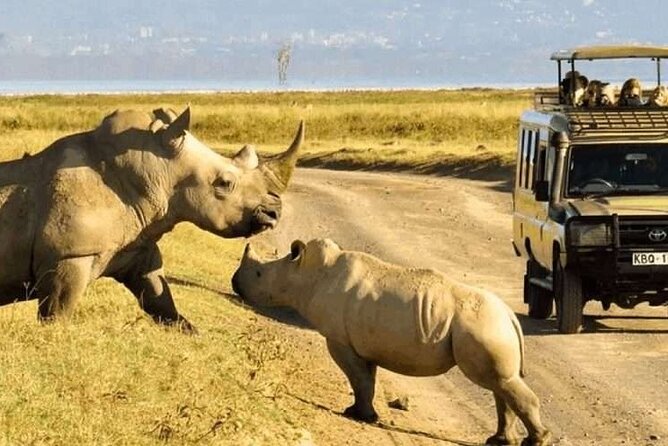 Shared Nairobi National Park Safari Tour - The open-sided 4x4 is part of the experience