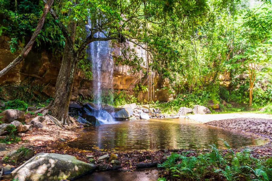 Shimba Hills Day Safari & Sheldrick Falls Hike Private Tour - Why Shimba Hills makes a good coastal day trip