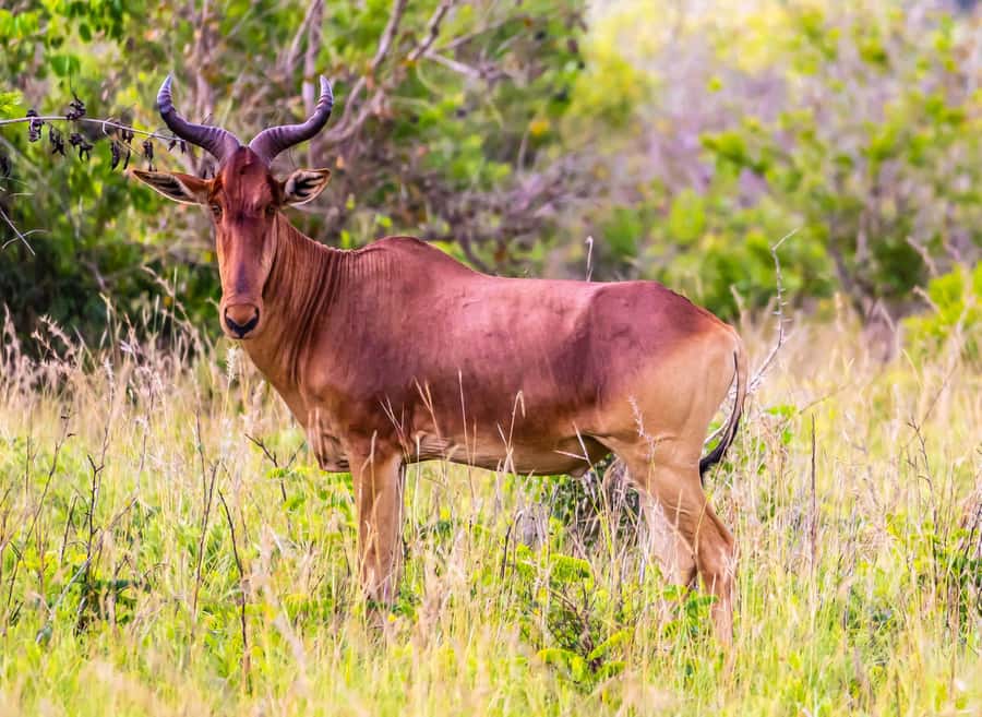 Shimba Hills Day Safari & Sheldrick Falls Hike Private Tour - How the timing works in real life