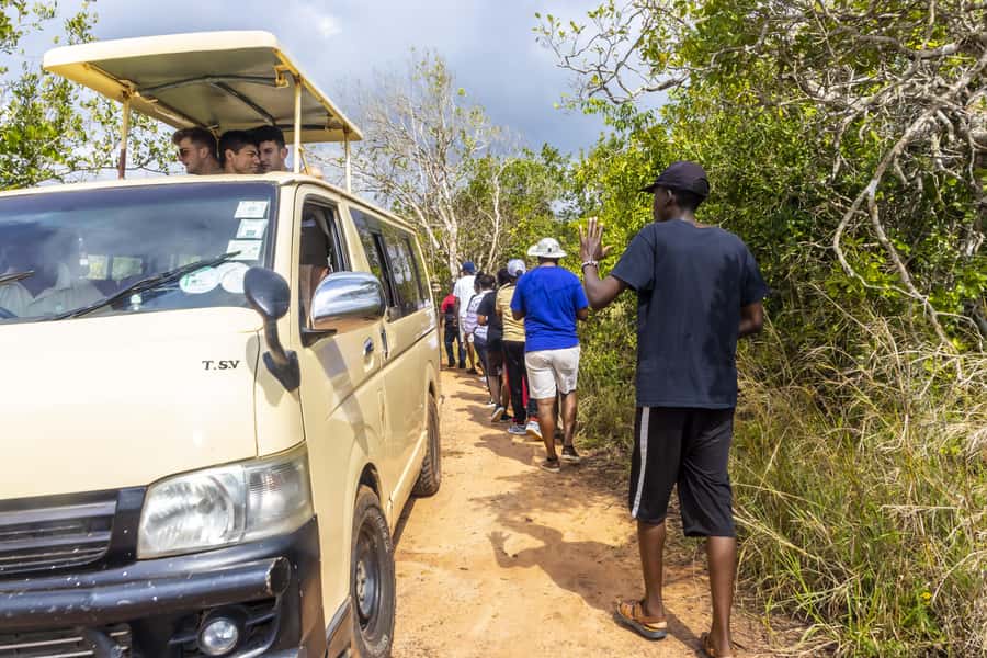 Shimba Hills Day Safari & Sheldrick Falls Hike Private Tour - Who will enjoy this day most