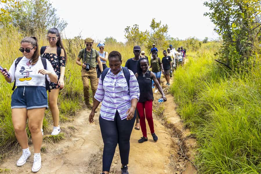 Shimba Hills Day Safari & Sheldrick Falls Hike Private Tour - The two-hour drive from the coast
