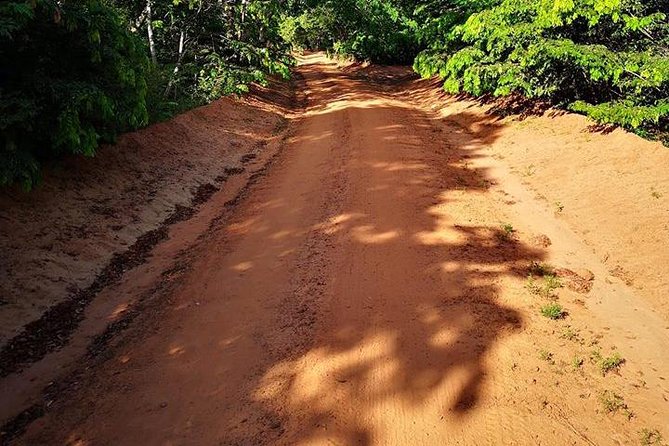 Shimba Hills Excursion - Key points at a glance