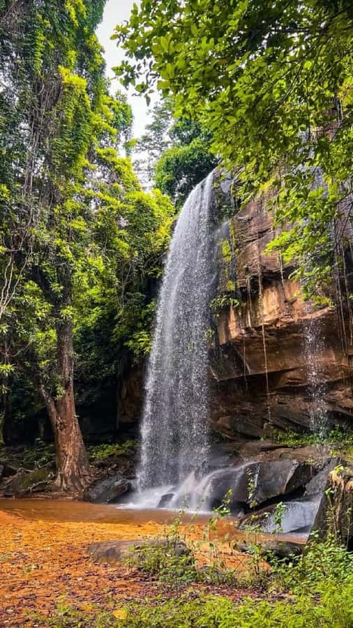 Shimba Hills: Game Drive, Waterfall Hike, and Lunch - A full day beyond Diani Beach