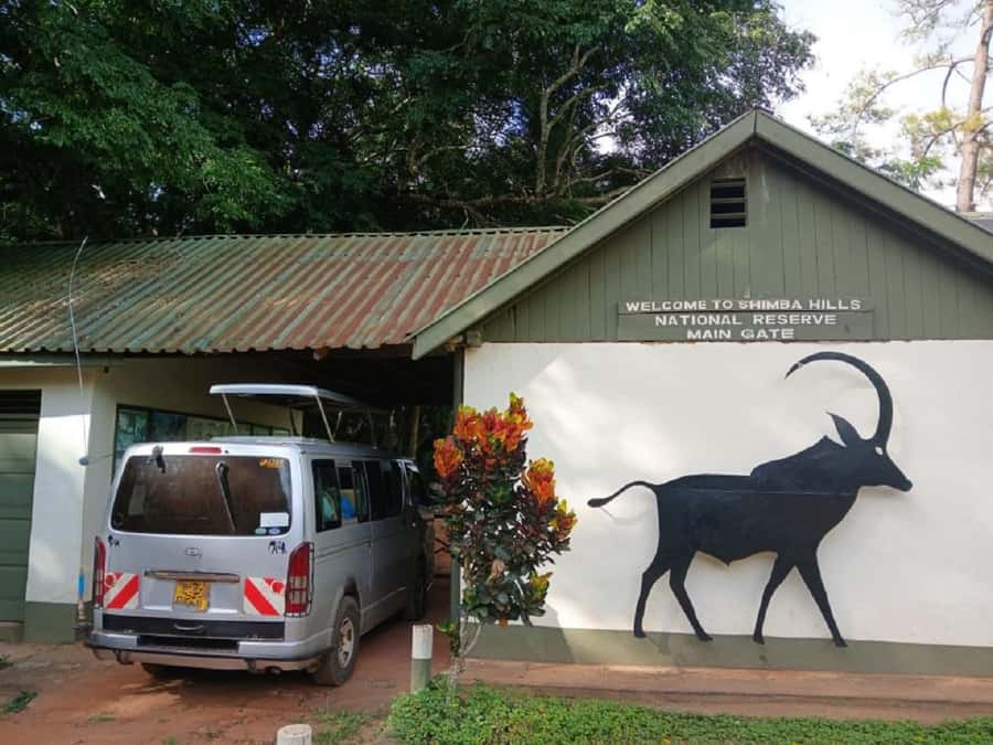 Shimba Hills: Game Drive, Waterfall Hike, and Lunch - The game drive through Shimba Hills