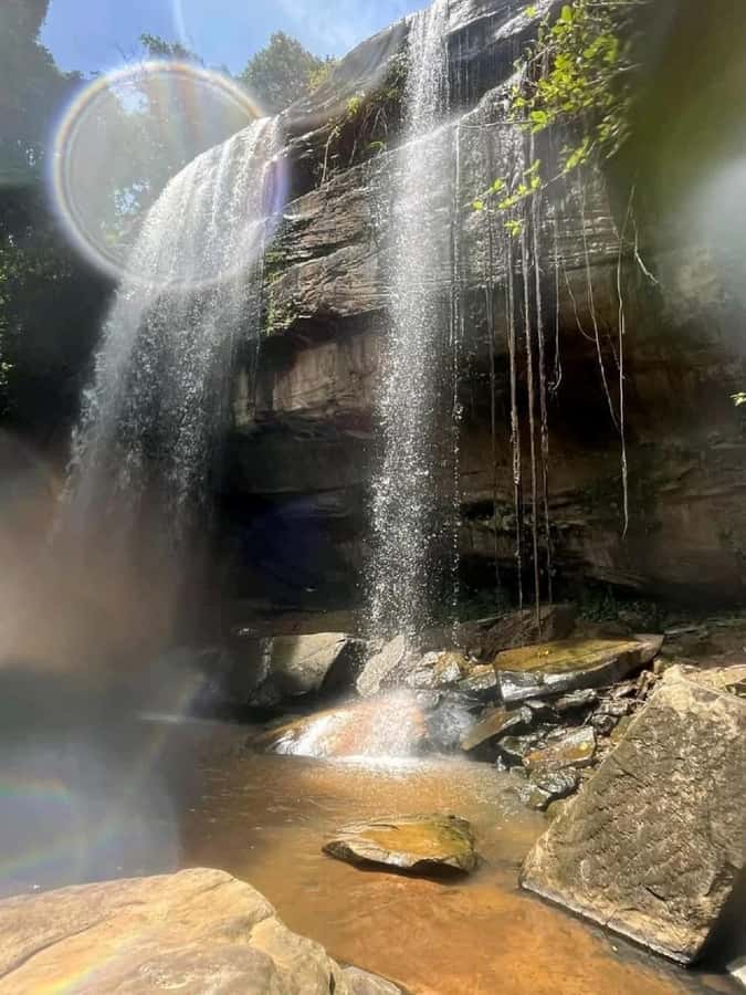 Shimba Hills: Game Drive, Waterfall Hike, and Lunch - Swimming beneath Sheldrick Falls